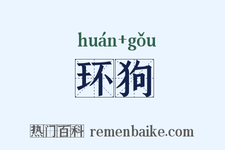 环狗是什么意思的图片